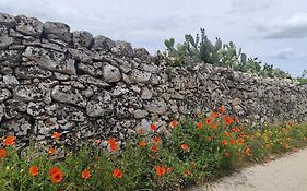 Casa Mirabilis 44