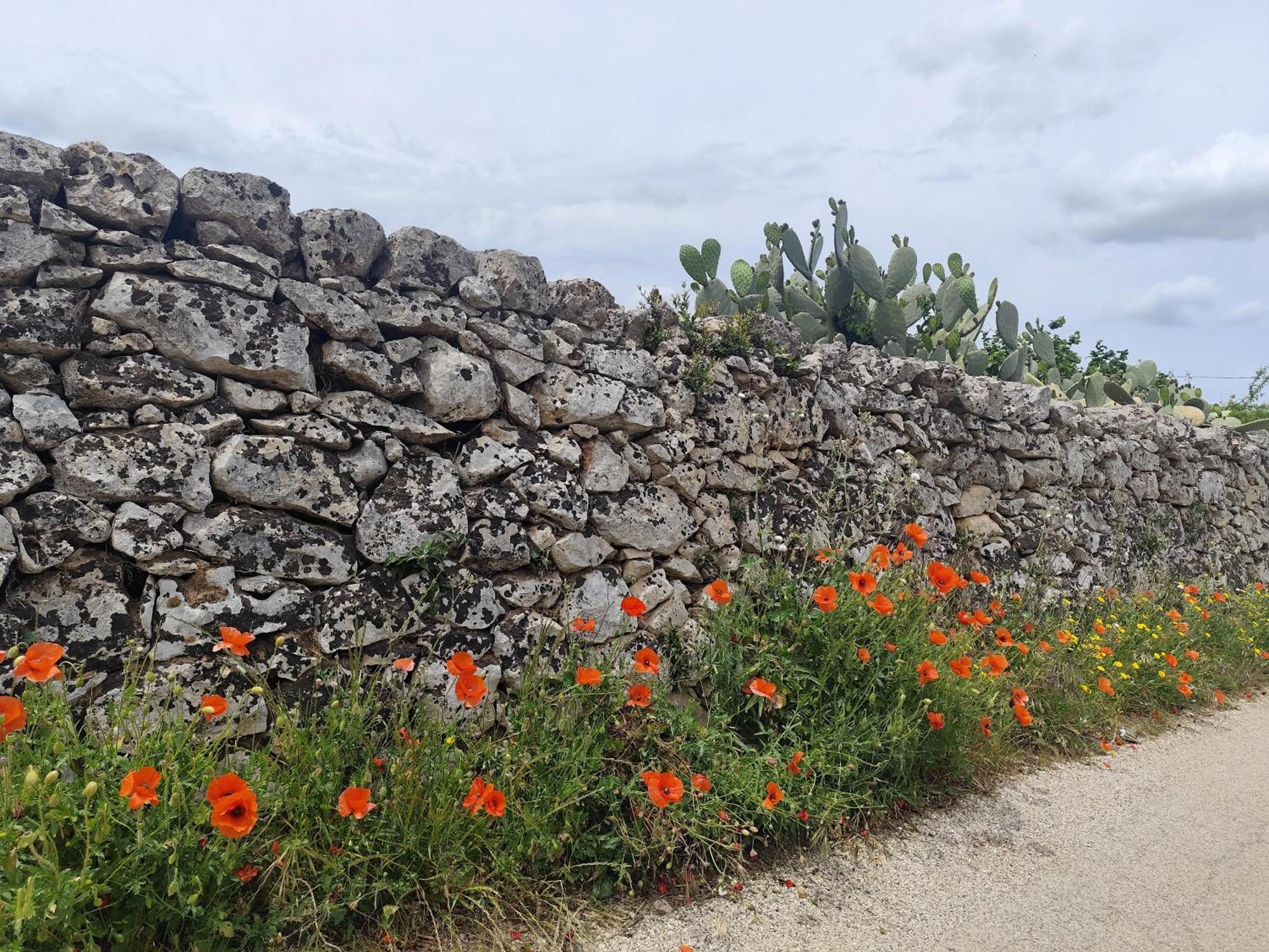 Casa Mirabilis 44 Villa Ostuni Exterior photo